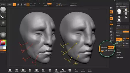 How to Use ZBrush for 3D Sculpting