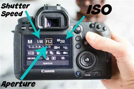 How to Use a Digital Camera