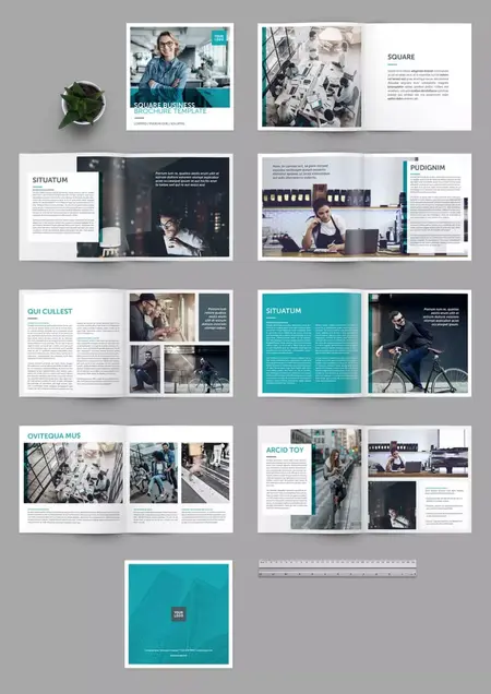 How to Use InDesign for Page Layout