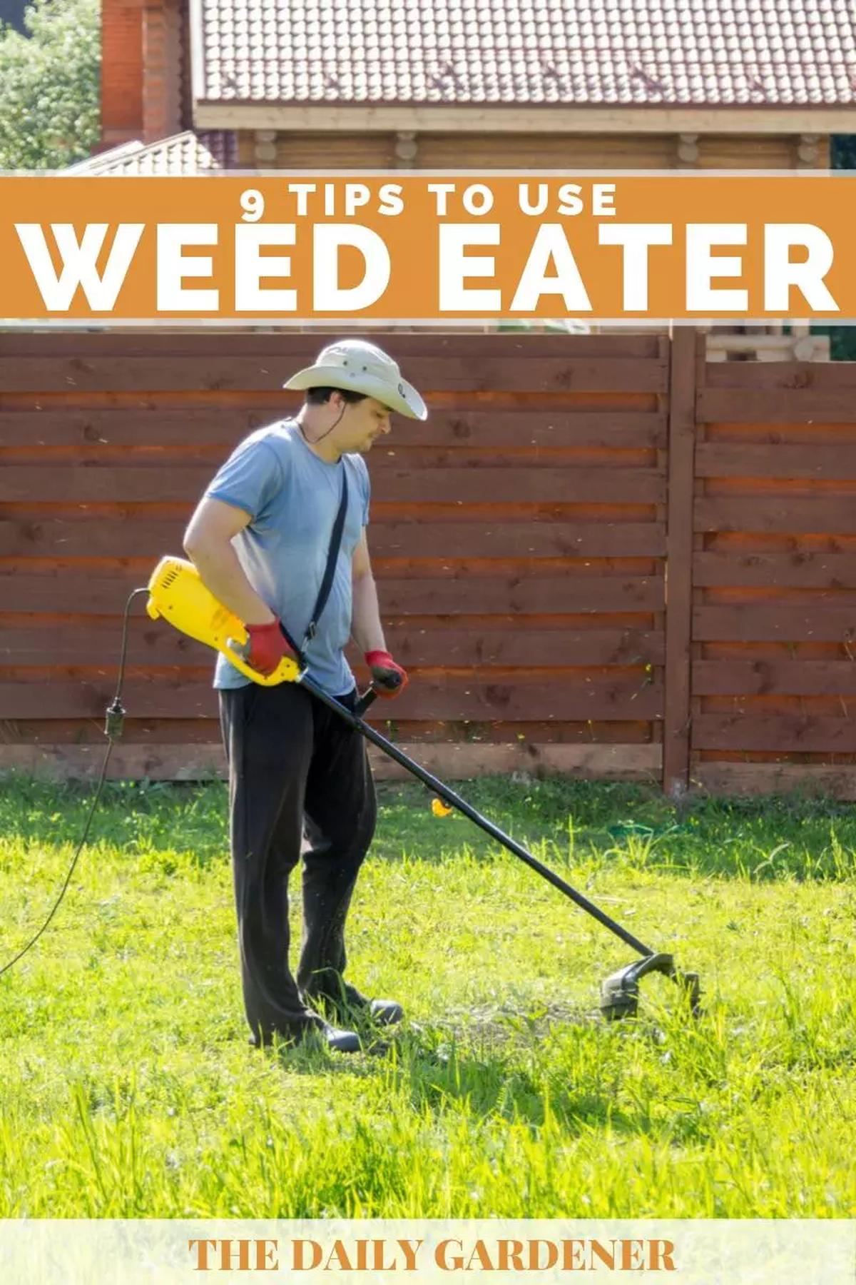 weed control: latest weed control article and updated - betooler.com
