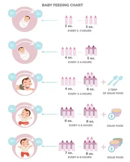 How to Feed a Baby