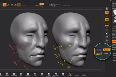 How to Use ZBrush for 3D Sculpting