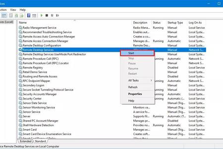 How to Use a Remote Desktop Service