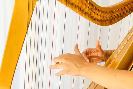 How to Learn to Play Harp