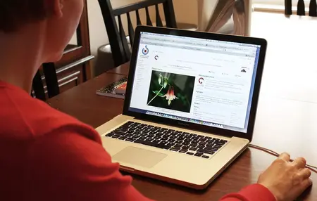 How to Use a Laptop for Beginners